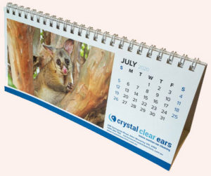 Desk Calendar Printing | Custom Calendar Printers | CalendarPrint